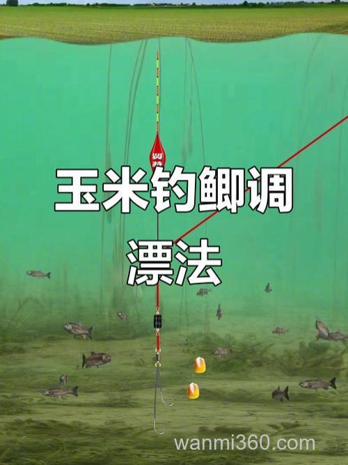 野钓鲫鱼玉米调漂最佳方法?