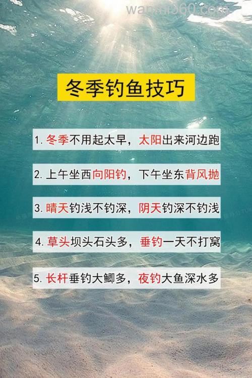 雪天垂钓的4个技巧