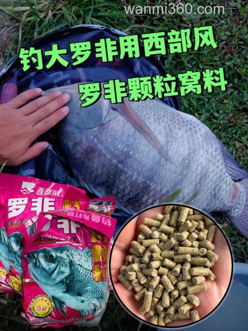 钓野罗非鱼用什么料