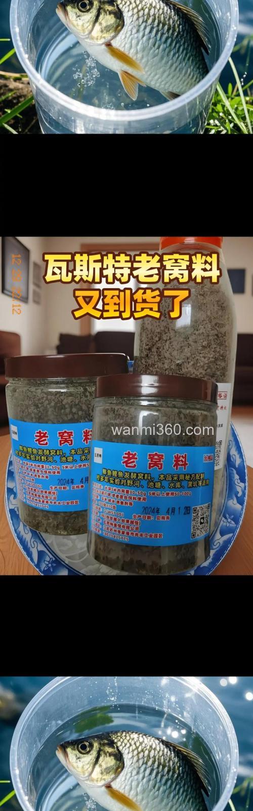 白露夜钓鲫鱼窝料？