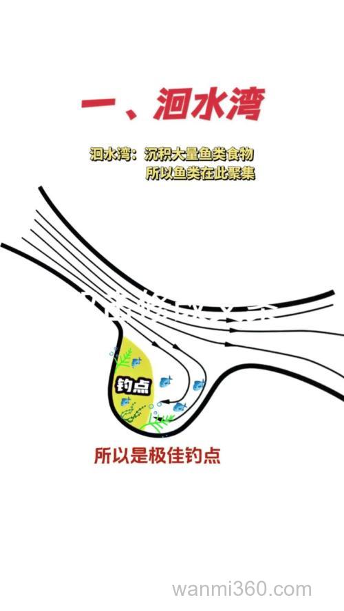 夏夜野河夜钓鲤鱼指南:钓点选择与装备准备全解析