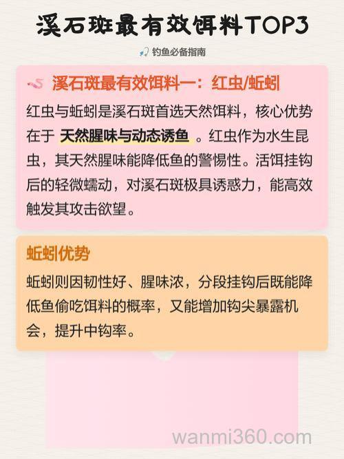 溪石斑饵料制作方法
