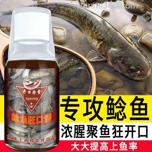 鲶鱼用什么饵料