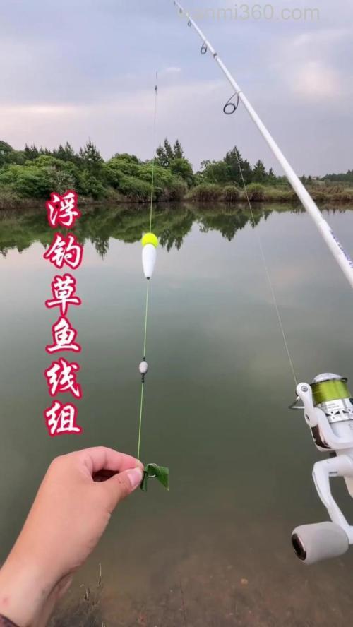 浮钓草鱼就用这三个技巧,天气越热越好钓