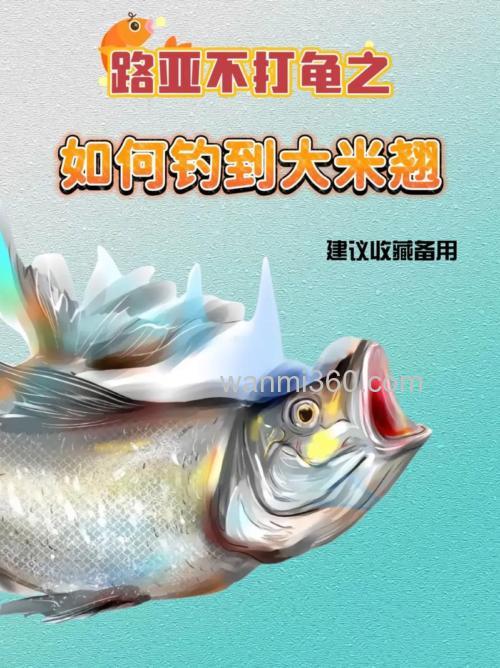 用大米怎么钓鱼