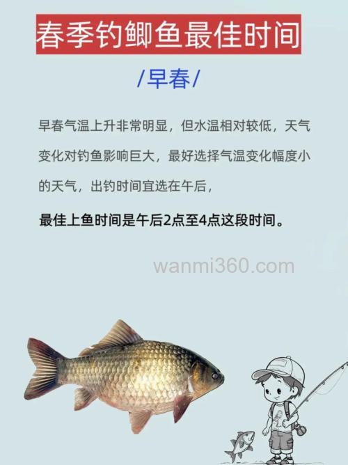 春天钓鲫鱼什么时间最好钓