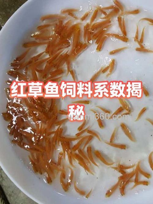 草鱼饲料系数?