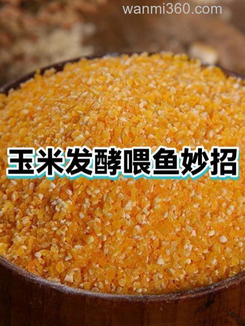 发酵玉米蛋白能喂鱼吗?