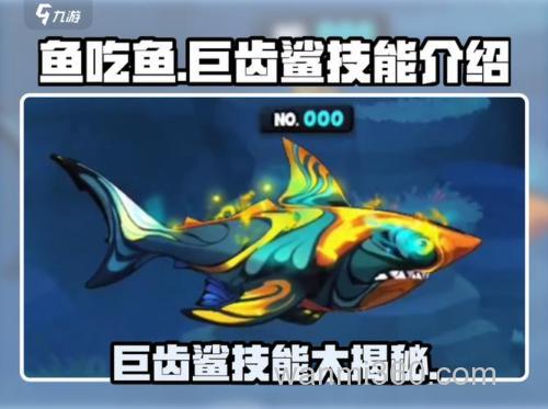 妄想山海钓鲛鲨攻略:掌握技巧,轻松捕获珍贵鱼类