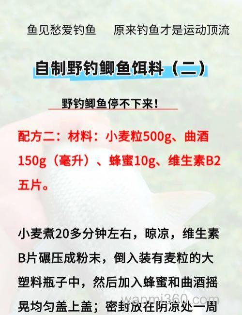 冬季主攻鲫鱼饵料配方,效果好,上鱼快