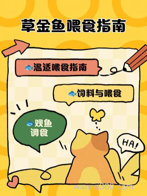 鱼塘草鱼喂的很饱怎么钓(主要给喂玉米、草和食堂的剩菜剩饭)