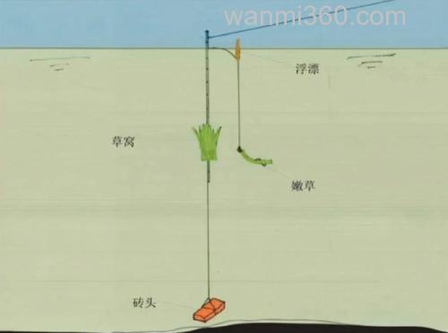 草鱼钓位的位置示意图
