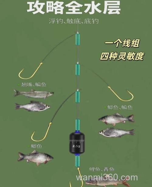 钓鲫鱼用的线组?