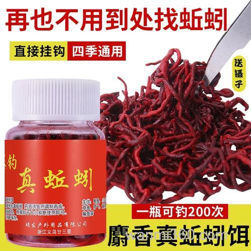 麝香干蚯蚓钓鱼真的有效果吗？