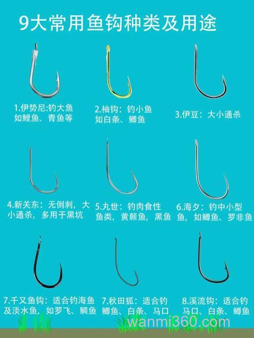 钓鲤鱼用什么钩?