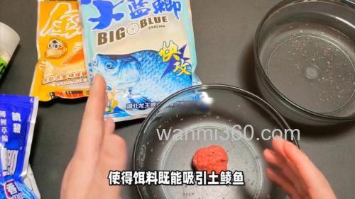 蓝鲫钓土鲮的最佳配方是什么？