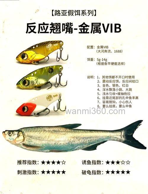 钓鱼商品饵没那么复杂,记住味型和状态这2条铁规就够了