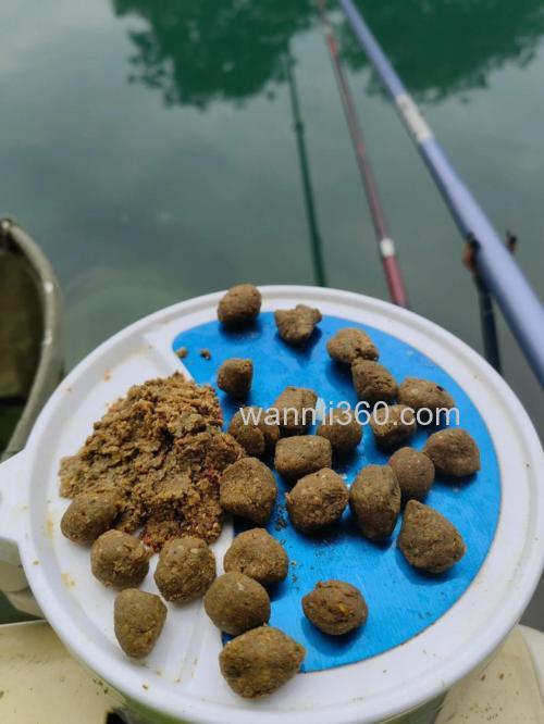 鲤鱼包食,炸弹饵