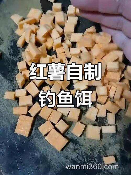 红薯钓鲤鱼绝招自制红薯饵料