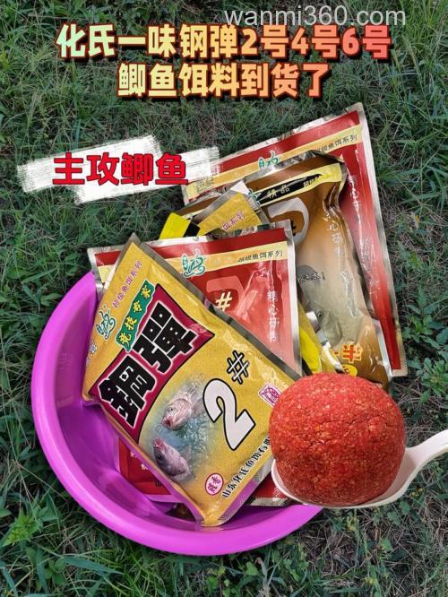 夏天钓鱼鱼饵是腥香的好还是麦香的好