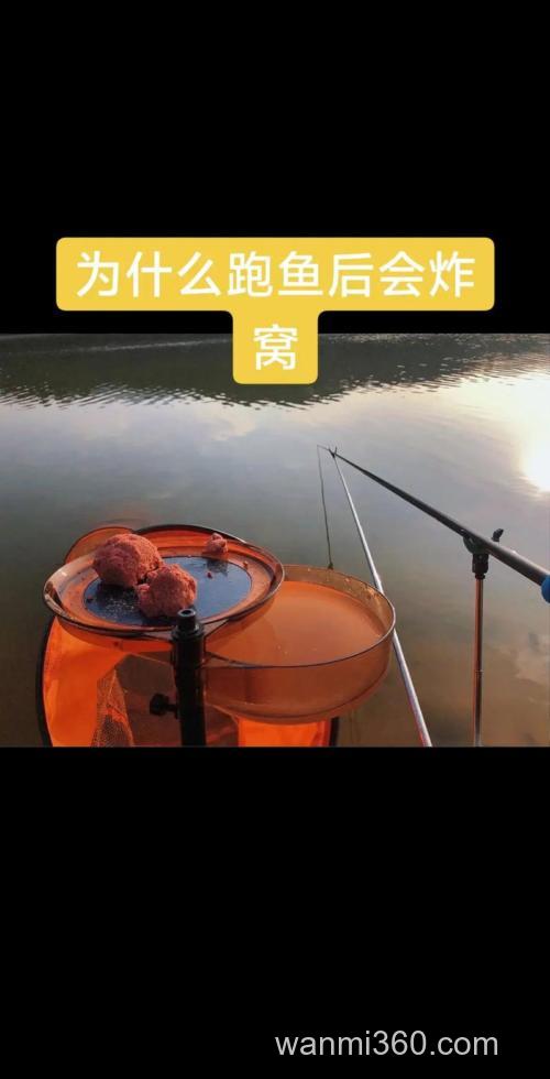 钓鱼炸窝还会来鱼吗？