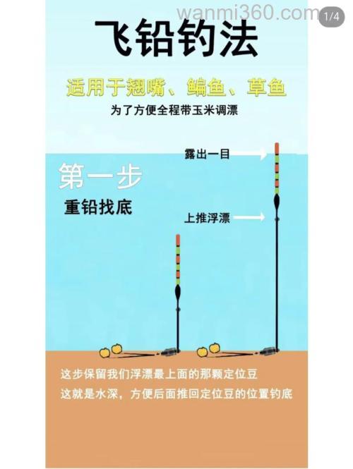 春季钓鲤鱼要掌握的这四个步骤