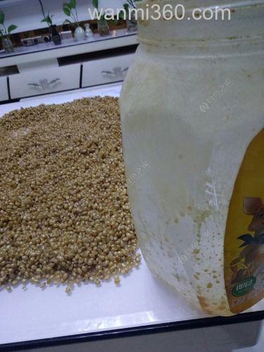 麦子用酒泡能钓鱼吗?