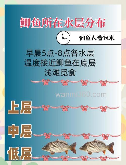 冬季野钓大板鲫的时间是几点?下午四点到晚上十点!