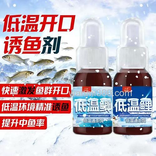 冬季钓鲫鱼鲤鱼用什么饵料,加什么小药好