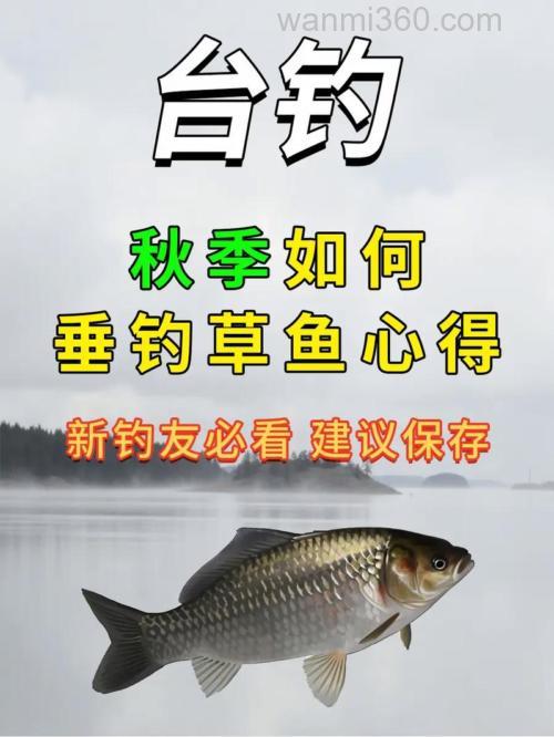 秋季如何垂钓草鱼?