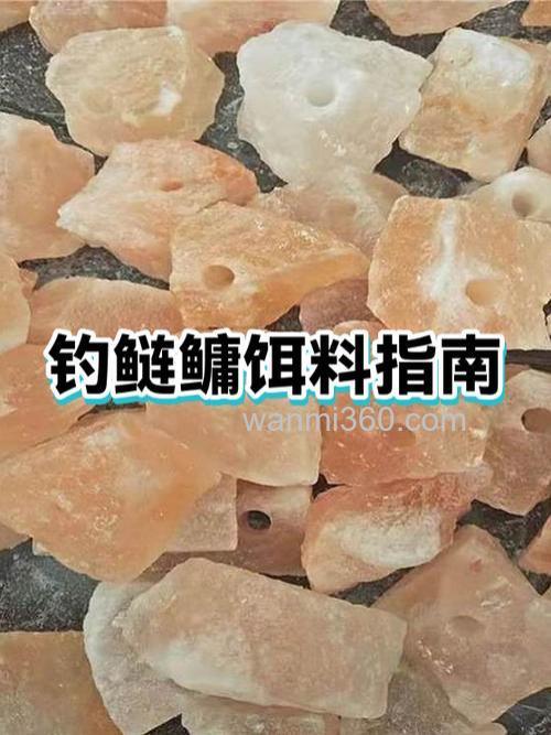 鲢鳙饵料榴莲味好用还是酸臭好用?