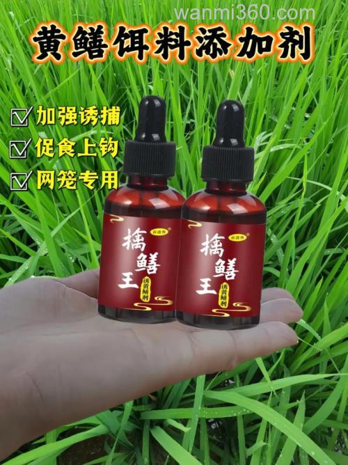捕野生黄鳝用什么诱饵?