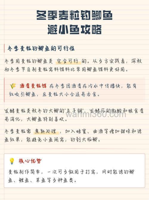 冬天麦粒钓鲫鱼绝密配方?