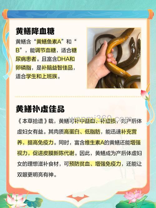 在农村,自己想养殖黄鳝,黄鳝的饲料怎样配比?