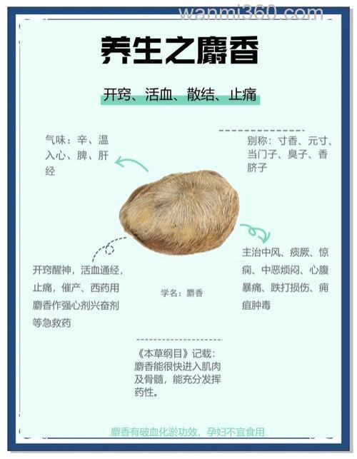 麝香和维生素b2同用可以吗