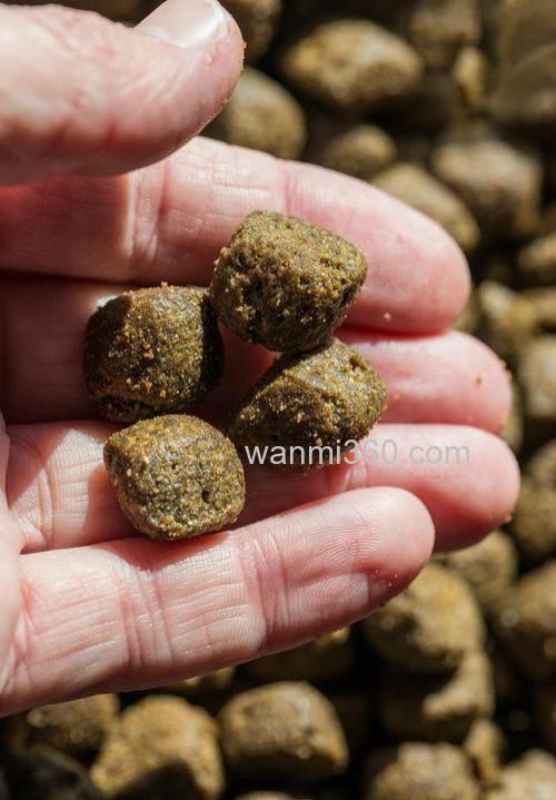 如何使用菜籽饼糟食饵钓鱼