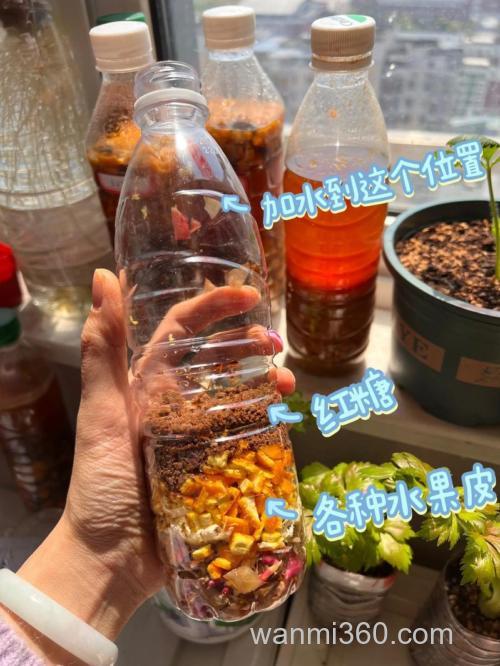 自制水果酵素的做法,自制水果酵素怎么做好吃,自制水果酵