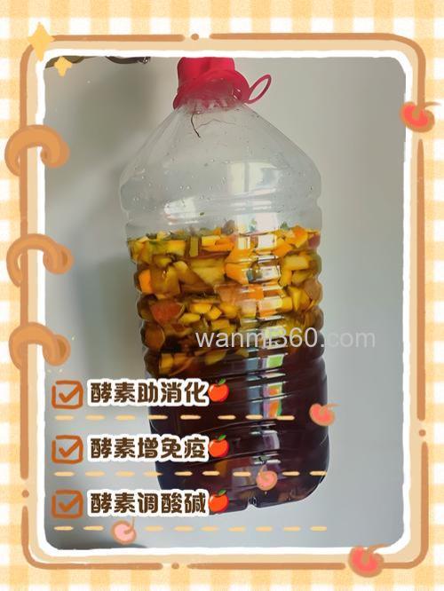 水果酵素真的那么神奇吗