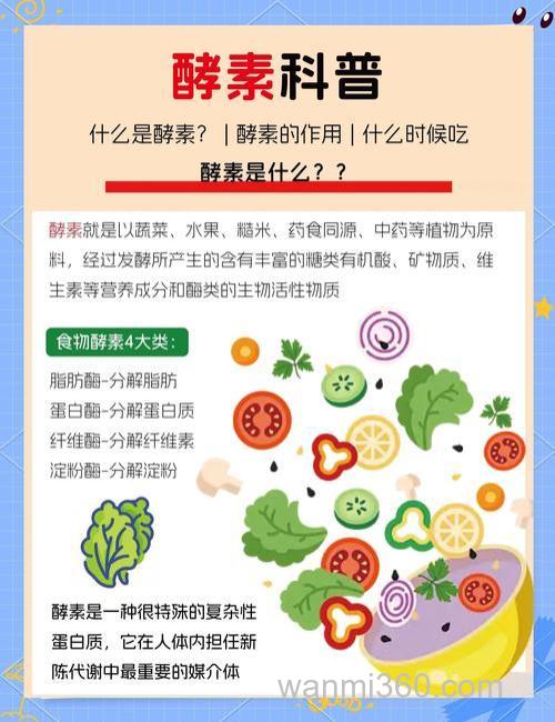 酵素食品是怎么回事儿