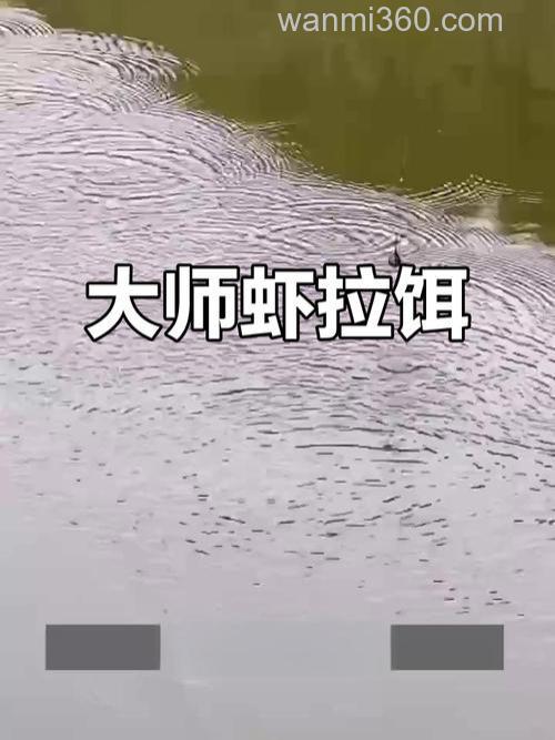 大师虾拉饵这款饵料好用吗？