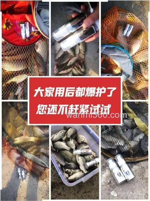 窝子里有没有鱼怎么判断出来?