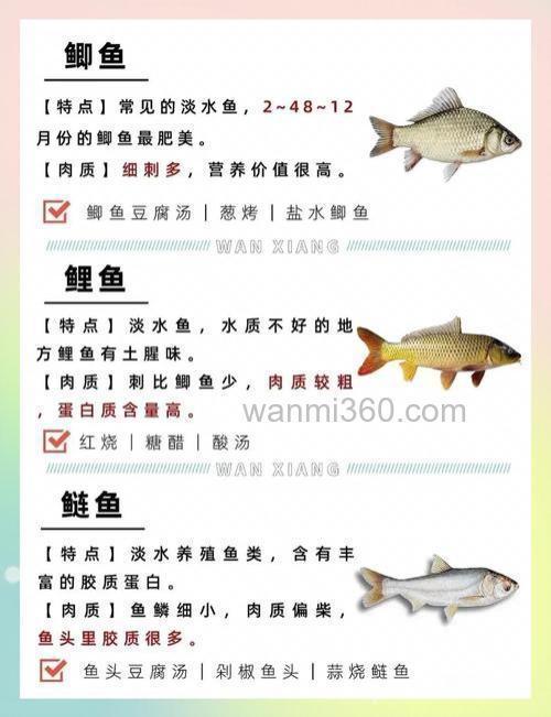 市场上卖的鲤鱼食如何配制