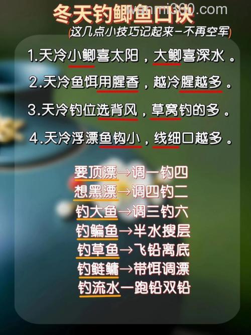 冬季钓鲫鱼,这些技巧和经验很重要