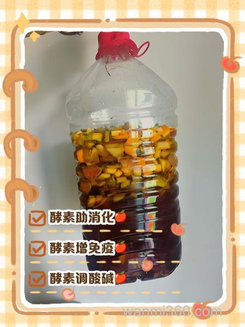 几种水果酵素制作方法以及其功效