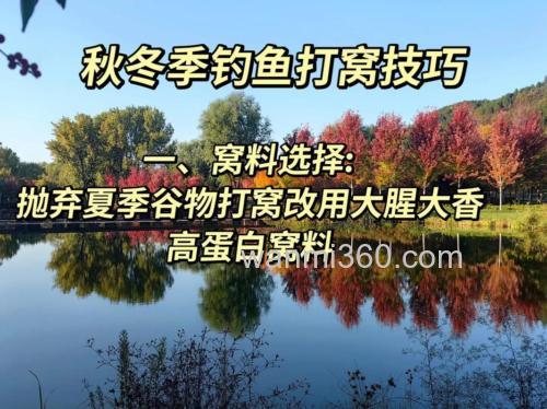 秋天钓鱼用什么打窝比较好?秋天打窝多久发窝?