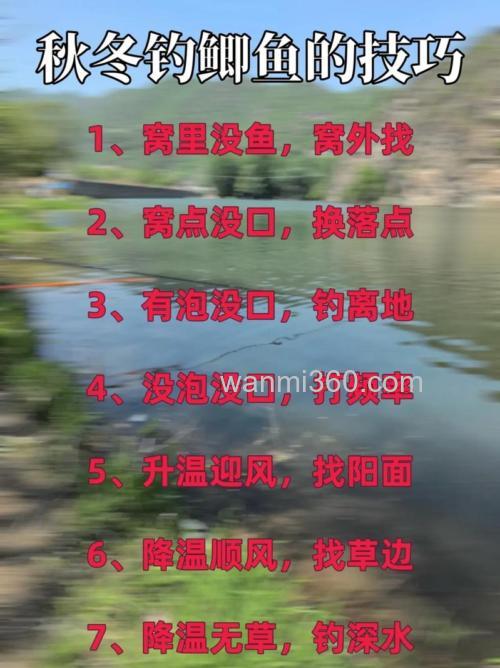 秋季小雨吹风水库如何钓鲫鱼？