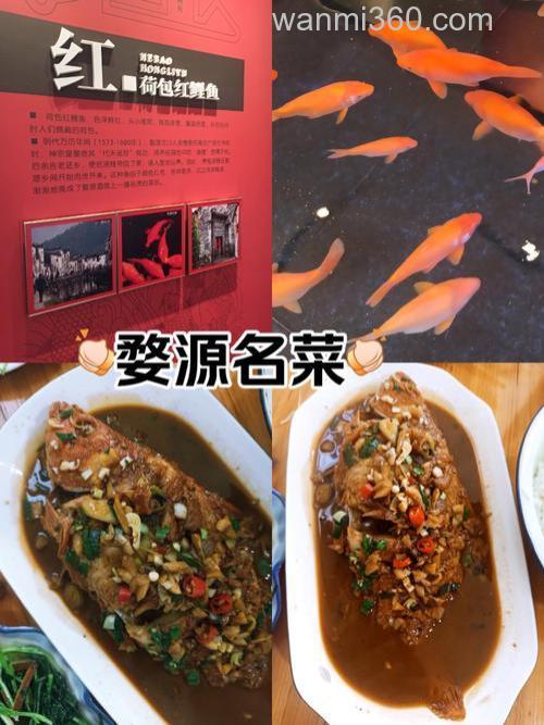婺源荷包鲤鱼的做法?