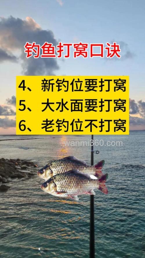 野钓打窝技巧与方法有哪些?