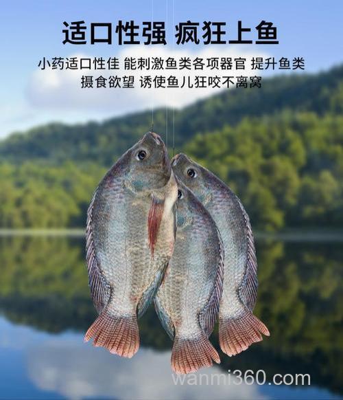 钓罗非饵料添加剂 嘿友鱼-霸道