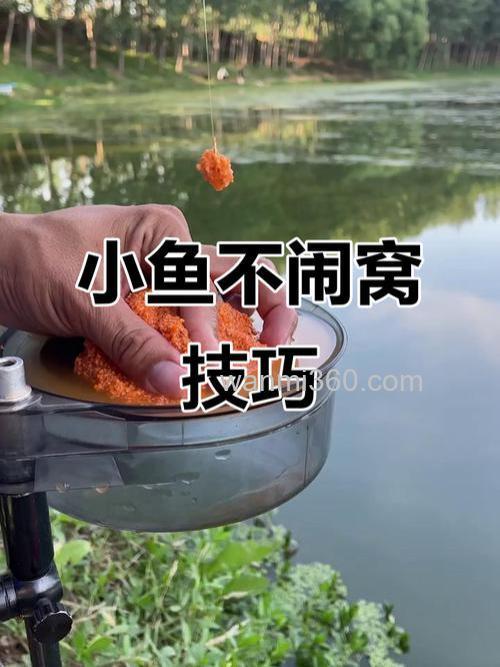 如何避免小杂鱼闹窝子?避开小鱼钓大鲫鱼绝招是什么?
